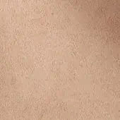501216 - CAMMELLO